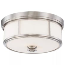 2 Light 13.5" Wide Flush Mount Ceiling Fixture from the Harbour Point Collection
