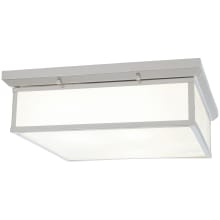 LED 20" Wide Flush Mount Ceiling Fixture with Glass Shade