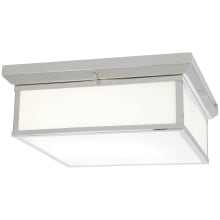 LED 16" Wide Flush Mount Ceiling Fixture with Glass Shade