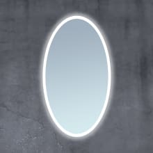 24" W x 36" W Oval Frameless Bathroom Mirror with LED Lighting