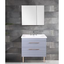 Anacapa 32" Wall Mounted Single Basin Vanity Set with Cabinet, Vitreous China Vanity Top, Mirror and Medicine Cabinet