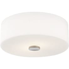 Sophie 2 Light 12" Wide Flush Mount Ceiling Fixture with Opal Etched Shade