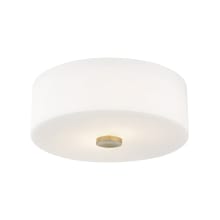 Sophie 2 Light 12" Wide Flush Mount Ceiling Fixture with Opal Etched Shade