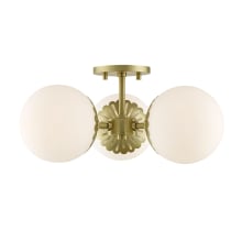 Paige 3 Light 17-1/2" Wide Semi-Flush Ceiling Fixture