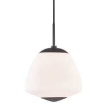 Jane Single Light 10" Wide Pendant