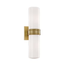 Natalie 2 Light 16" Tall Wall Sconce with Frosted Glass Shades