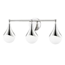 Ariana 3 Light 23" Wide LED Bathroom Vanity Light