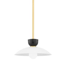 Whitley 14" Wide Pendant