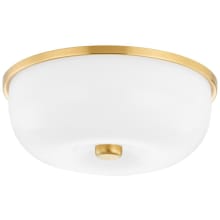 Wendy 2 Light 14" Wide Flush Mount Bowl Ceiling Fixture