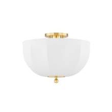 Meshelle 14" Wide Flush Mount Bowl Ceiling Fixture