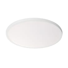 Argo 19" Wide LED Flush Mount Ceiling Fixture / Wall Sconce with Smooth White Acrylic Shade