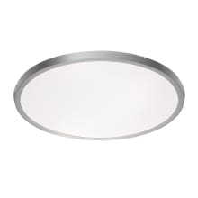 Argo 19" Wide LED Flush Mount Ceiling Fixture / Wall Sconce with Smooth White Acrylic Shade
