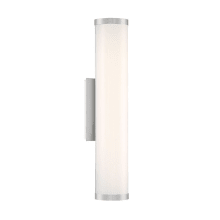 Lithium Single Light 24" Tall Integrated LED Outdoor Wall Sconce