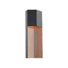 Dusk 20" Tall LED Outdoor Wall Sconce