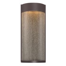 Rain 16" Tall LED Indoor/Outdoor Wall Sconce with Clear Seeded Glass - 3000K