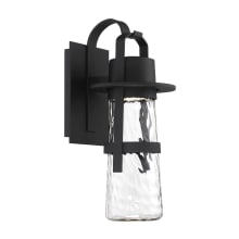 Balthus 21" Tall LED Outdoor Wall Sconce