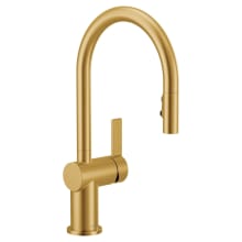 Cia 1.5 GPM Single Hole Pull Down Kitchen Faucet