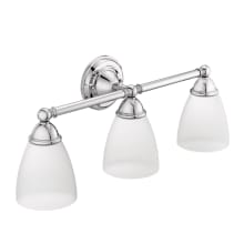 Brantford 26" Wide 3 Light Bathroom Vanity Light with Frosted Shades