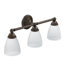 3 Light Bathroom Vanity Light with Frosted Shades from the Brantford Collection
