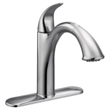 Camerist Single Handle Kitchen Faucet with Pullout Spray