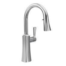 Etch Pull-down Spray High Arc Kitchen Faucet with Reflex Technology