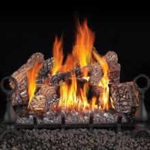 60,000 BTU 24 Inch Wide Insert Natural Gas Log Set with Electronic Ignition from the Fiberglow Collection