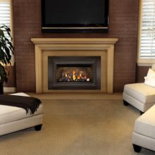 24000 BTU Insert Direct Vent Natural Gas Fireplace with Safety Barrier and Millivolt Ignition from the Inspiration Series