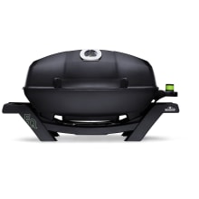 Dimplex online electric grill