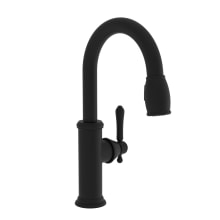 Chesterfield 1.8 GPM Pull Down Bar Faucet