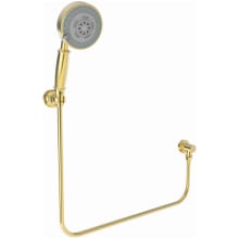 Multi-Function Wall Mount Hand Shower Package - Includes Hose and Wall Supply