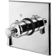 Metropole Collection Single Handle Square Thermostatic Valve Trim with Metal Lever Handle