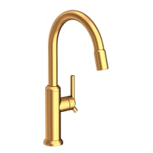 Jeter 1.8 GPM Single Hole Pull Down Kitchen Faucet
