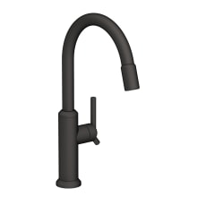 Jeter 1.8 GPM Single Hole Pull Down Kitchen Faucet
