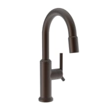 Jeter 1.8 GPM Single Hole Pull Down Bar Faucet