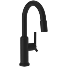 Jeter 1.8 GPM Single Hole Pull Down Bar / Prep Faucet