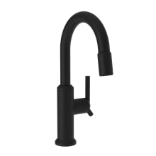 Jeter 1.8 GPM Single Hole Pull Down Bar Faucet