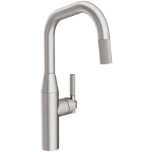 Muncy 1.8 GPM Single Hole Pull Down Kitchen Faucet with Angled Spout