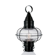 Classic Onion Single Light 18" Tall Outdoor Post Light with Glass Shade