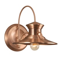 Budapest Single Light 13" Tall Outdoor Wall Sconce with Copper Glass Shade