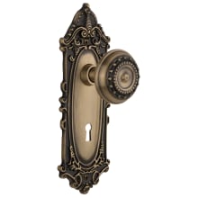 Meadows Solid Brass Vintage Skeleton Key Retrofit Entry Handleset Trim with Victorian Rose, Keyhole and 2-1/4" Backset