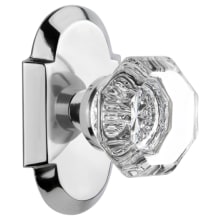 Vintage Luxe Waldorf Lead Crystal Octagon Passage Door Knob Set with Solid Brass Cottage Style Plate and 2-3/4" Backset