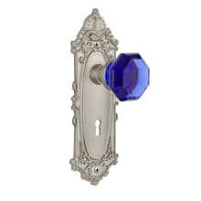 Victorian Rose Dummy Door Knob Set with Cobalt Waldorf Knob and Decorative Skeleton Keyhole