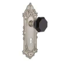 Victorian Rose Privacy Door Knob Set with Black Waldorf Knob and Decorative Skeleton Keyhole for 2-3/8" Backset