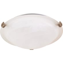 Single Light 12-1/2" Wide Flush Mount Bowl Ceiling Fixture