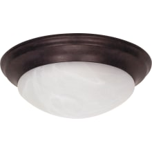 2 Light 14" Wide Flush Mount Bowl Ceiling Fixture