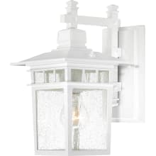 Cove Neck 12" Tall Outdoor Wall Sconce with Glass Panel Shades