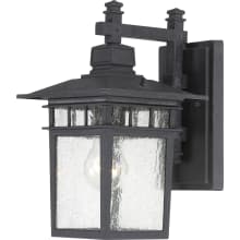 Cove Neck 12" Tall Outdoor Wall Sconce with Glass Panel Shades