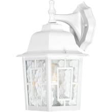 Banyan Single Light 12-1/4" Tall Outdoor Wall Sconce with Water Glass Shade - ADA Compliant