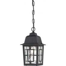Banyan Single Light 6-1/8" Wide Outdoor Mini Pendant with Water Glass Shade