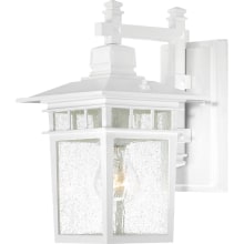 Cove Neck Single Light 11-3/4" Tall Outdoor Wall Sconce with Seedy Glass Shade - ADA Compliant